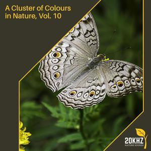 A Cluster of Colours in Nature, Vol. 10