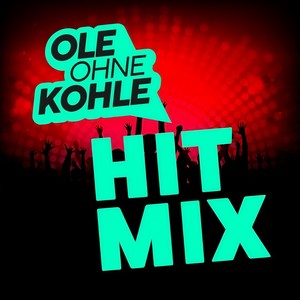 Du kannst mir die Nudel putzen / 1 2 3 4(Wir saufen alles leer)/ Nüchtern gesehen ist besoffen geil (Hitmix)