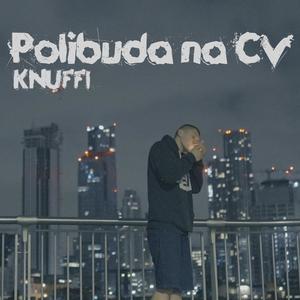 Polibuda na CV