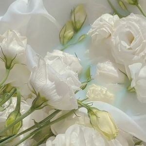 镜中的安娜（吉他) - 唯美纯音乐