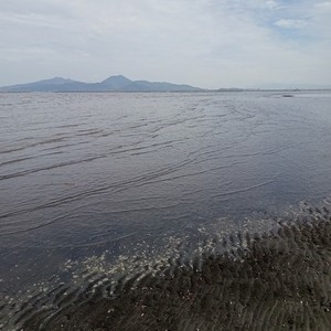 長部田海床路