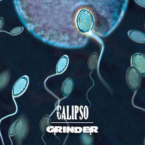 Grinder