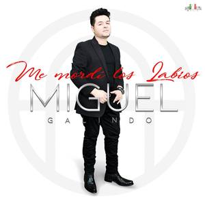Miguel Galindo - Me Gusta Estar Contigo