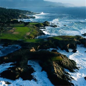 樱花树下的约定