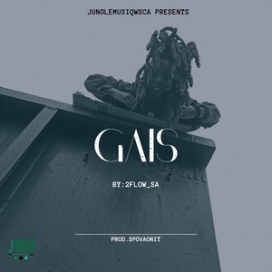 Gais (Grown and It Shows) [Explicit]