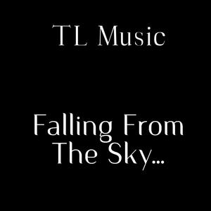 Falling From The Sky...