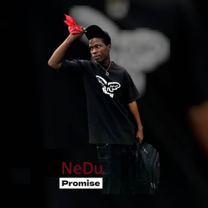 Promise