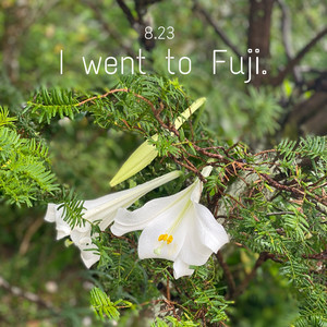 8.23 I went to Fuji (piano solo)
