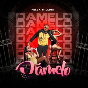 Damelo