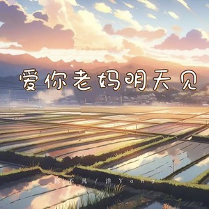 爱你老妈明天见（回家回家）