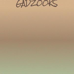 Gadzooks