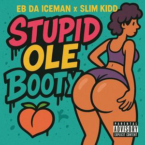 Stupid Ole Booty (feat. Slim Kidd & NMB STUNNAZ) (Explicit)