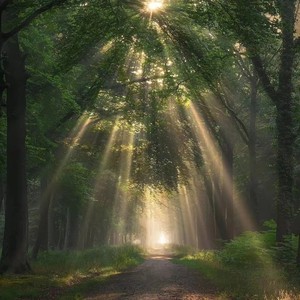 So Far Away (remix: Martin Garrix|David Guetta|Jamie Scott|Romy Dya|Remix)