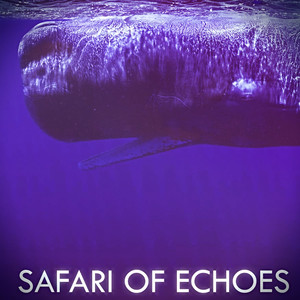 Safari Of Echoes
