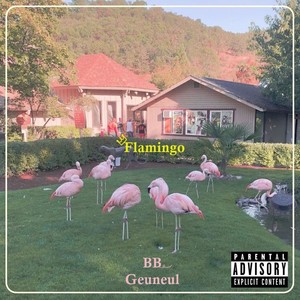 플라밍고 (Feat. 그늘) (Flamingo)