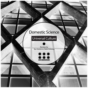 Universal Culture (Illias Katelanos Remix)