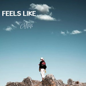 Feels Like