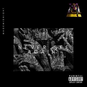 Never See Again (Explicit)