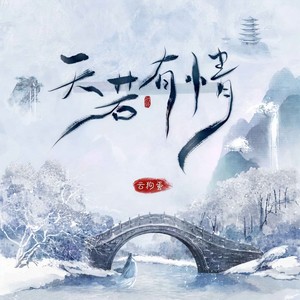 天若有情 (DJ默涵版)封面