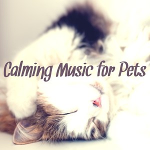 Calming Music for Pets – Instrumental Music to Keep the Company to Your Dog & Cat, Relaxing Soothing Nature Sounds Therapy for Animals