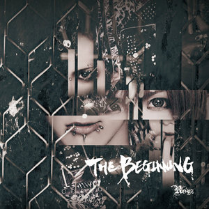 THE BEGINNING 【通常盤：D】