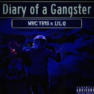 Diary Of A Gangster (Explicit)