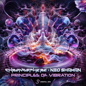 Principles of Vibration (Original Mix)