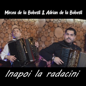 inapoi la radacini