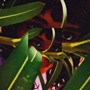 call (feat. G.I.N.) (Explicit)