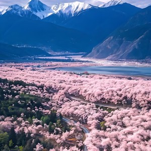 杜成林 - 我在醉美林芝等你