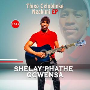 Zijolel'indlala (feat. Phumeza)