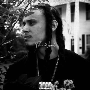 The Wood (feat. Ali Guapo) [Explicit]