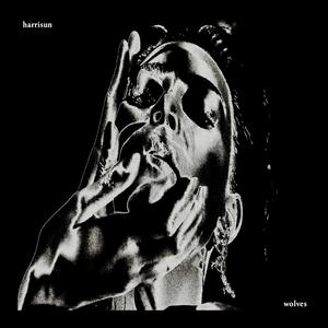 Harrisun - wolves (i need u now)