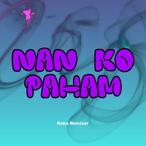 Nan Ko Paham (Raka Remixer Remix)