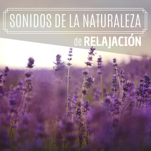 Sonidos de la Naturaleza de Relajación - Selección de la Mejor Música Relax y Meditación 2019 Ruido Mar, Lluvia y Pájaros