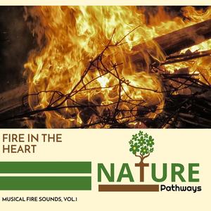 Fire in the Heart - Musical Fire Sounds, Vol.1