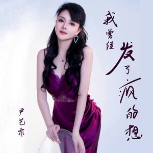 我曾经发了疯的想