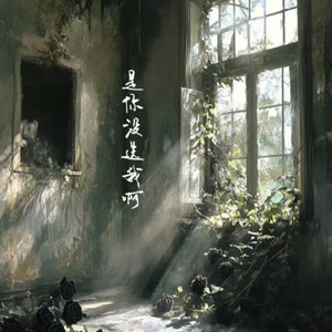 是你没选我啊 (心碎版)