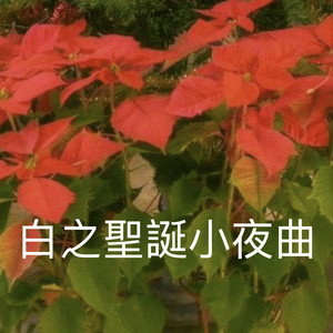 We Wish You a Merry Christmas