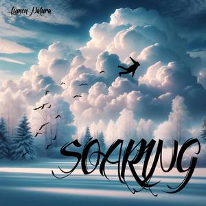 Soaring