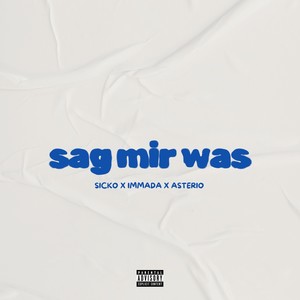 Sag mir was (Explicit)