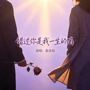 错过你是我一生的痛
