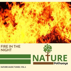 Fire in the Night - Nature Music Tunes, Vol.2