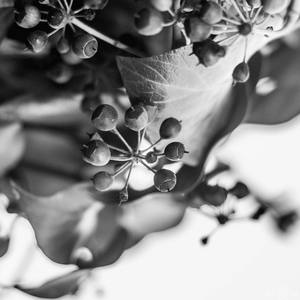 Colectivo Paradise - Lo Mejor de Sinzer (Buen Tipo)