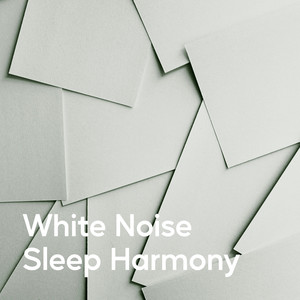Sleep Harmony Noise