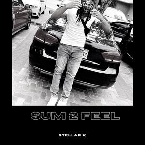 Sum 2 Feel (Explicit)
