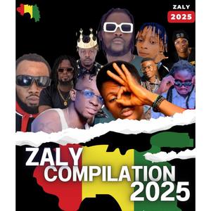 Zaly compilation 2025 (1er décembre) (feat. Ras hivo, Savio flex, Dj impérial, Sagno familly, Afro kpèlè, Mister samy, King safarel, Koldji first & F boy)