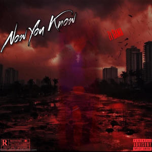 2 Many Hoes (feat. Vonskiii) (Explicit)