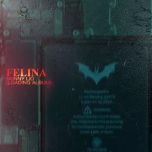 FELINA (feat. Yeeibb) (Explicit)