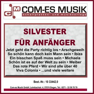 Silvester für Anfänger